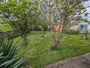 Photo 24- click for photo gallery